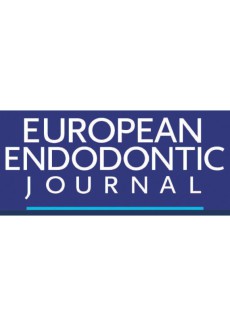 European Endodontic Journal