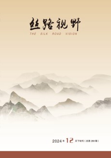 丝路视野
