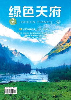 绿色天府