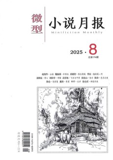 微型小说月报杂志