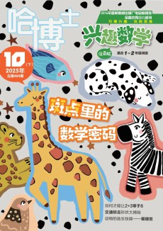 哈博士兴趣数学杂志