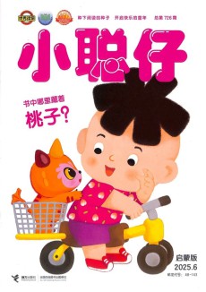 小聪仔婴儿版
